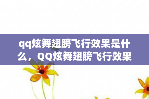 qq炫舞翅膀飞行效果是什么，QQ炫舞翅膀飞行效果，梦幻般的空中舞蹈体验