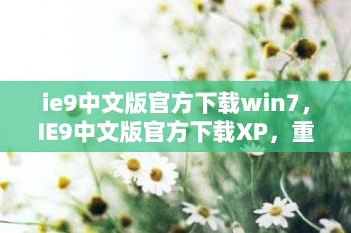 ie9中文版官方下载win7图片