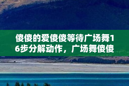 傻傻的爱傻傻等待广场舞16步分解动作图片