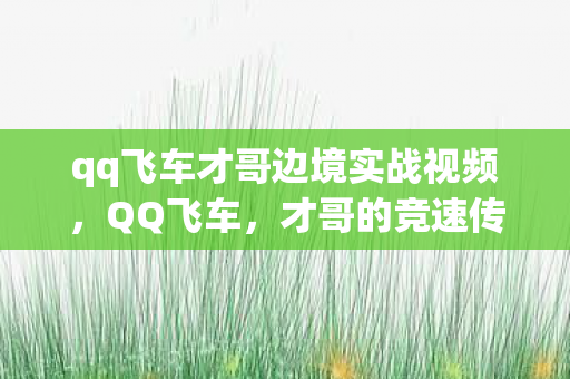 qq飞车才哥边境实战视频图片