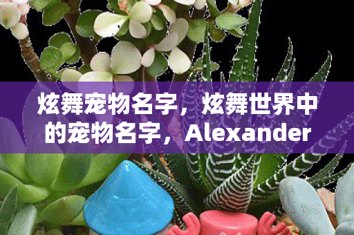 炫舞宠物名字，炫舞世界中的宠物名字，Alexander—一段独特的冒险之旅
