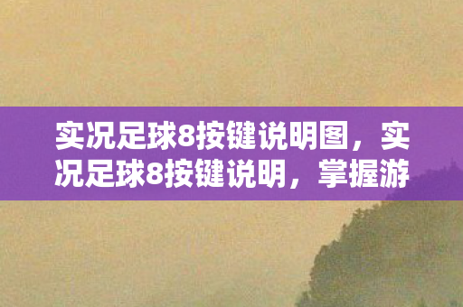 实况足球8按键说明图图片