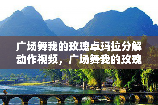 广场舞我的玫瑰卓玛拉分解动作视频图片