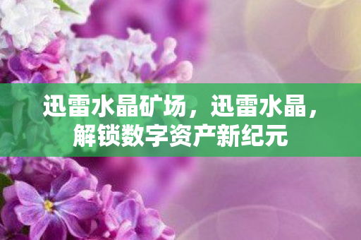 解锁数字资产新纪元图片