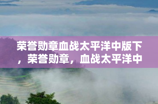 荣誉勋章血战太平洋中版下图片