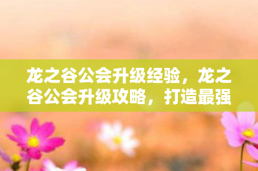 龙之谷公会升级经验图片