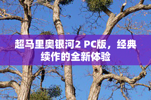 超马里奥银河2 PC版图片