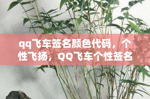 qq飞车签名颜色代码图片