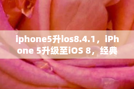 iPhone 5升级至iOS 8图片