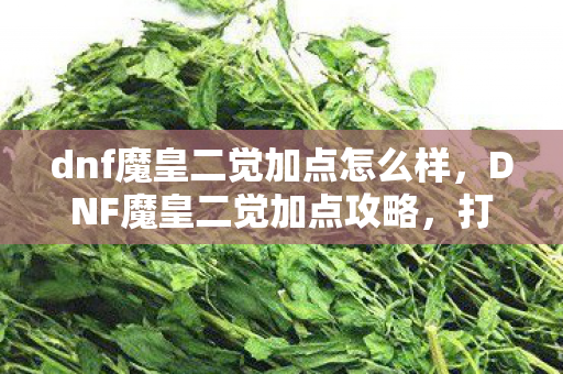 dnf魔皇二觉加点怎么样图片