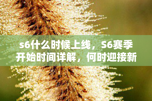 S6赛季开始时间详解图片