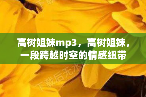 一段跨越时空的情感纽带图片