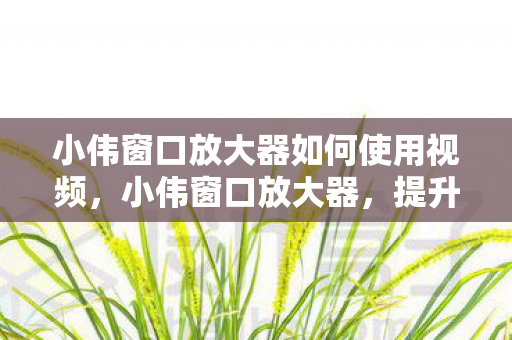 小伟窗口放大器如何使用视频图片