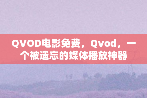 一个被遗忘的媒体播放神器图片