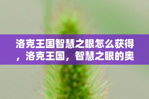 洛克王国智慧之眼怎么获得图片