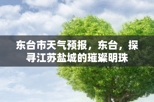 探寻江苏盐城的璀璨明珠图片