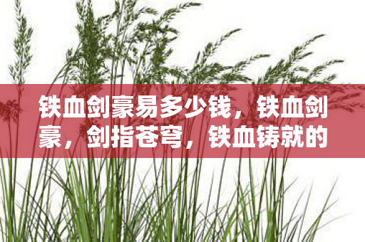 铁血剑豪易多少钱图片