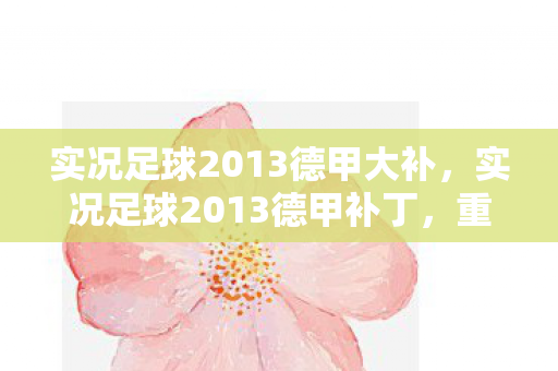 实况足球2013德甲大补图片