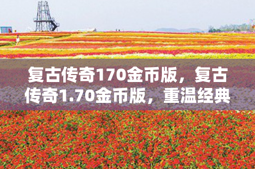 复古传奇170金币版图片