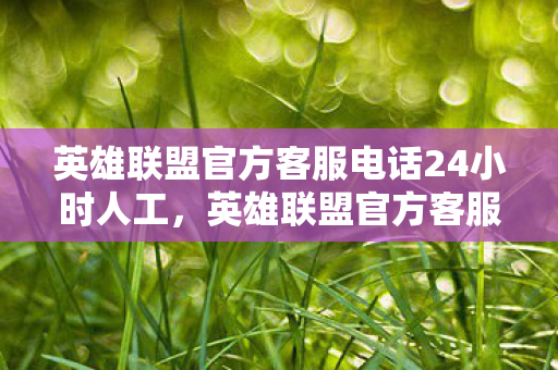 英雄联盟官方客服电话24小时人工图片