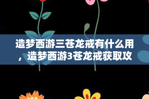 造梦西游三苍龙戒有什么用图片