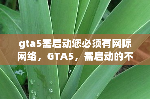 gta5需启动您必须有网际网络图片