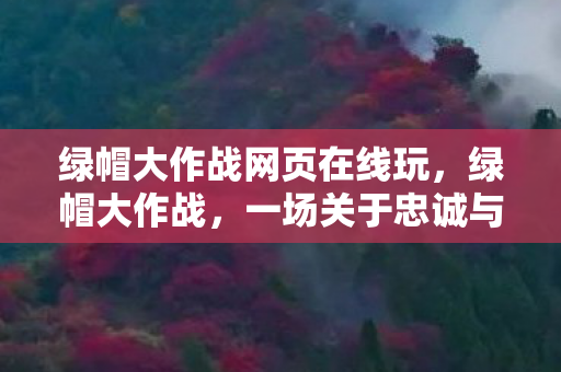 一场关于忠诚与误解的游戏图片