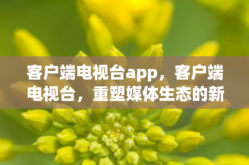 重塑媒体生态的新篇章图片