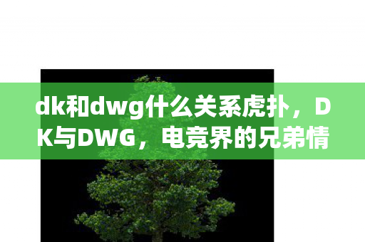 dk和dwg什么关系虎扑图片