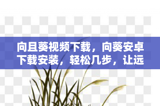 向葵安卓下载安装图片