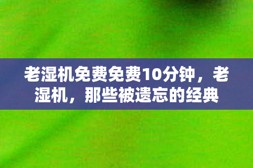 老湿机免费免费10分钟图片