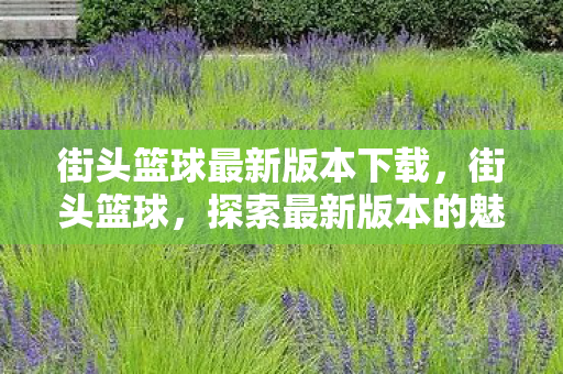 探索最新版本的魅力与变革图片