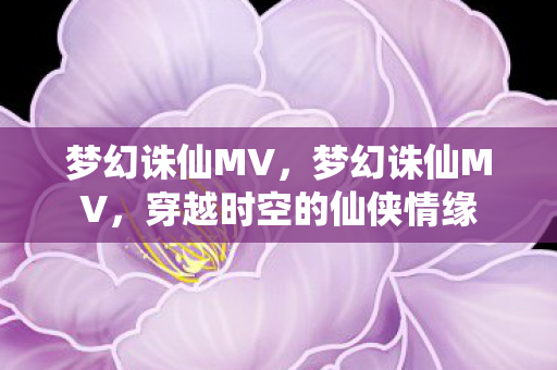 穿越时空的仙侠情缘图片