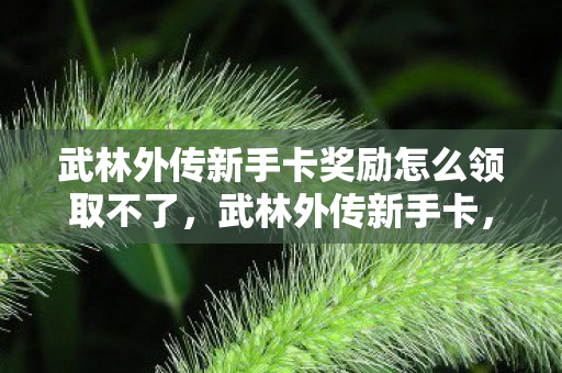 武林外传新手卡奖励怎么领取不了图片
