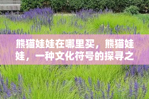 熊猫娃娃在哪里买，熊猫娃娃，一种文化符号的探寻之旅