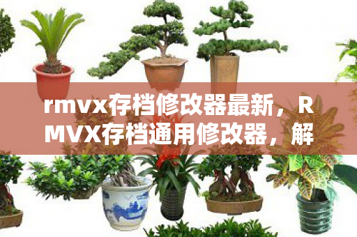 rmvx存档修改器最新图片