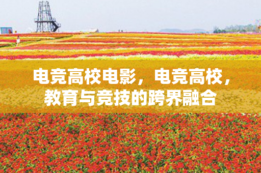 教育与竞技的跨界融合图片