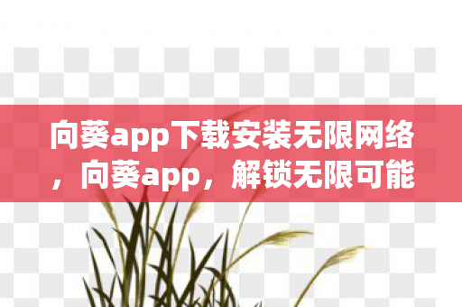 向葵app下载安装无限网络图片