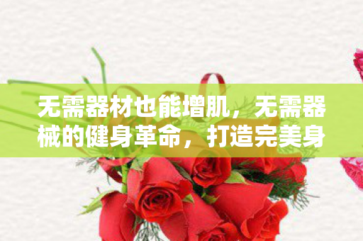 打造完美身材的居家训练计划图片