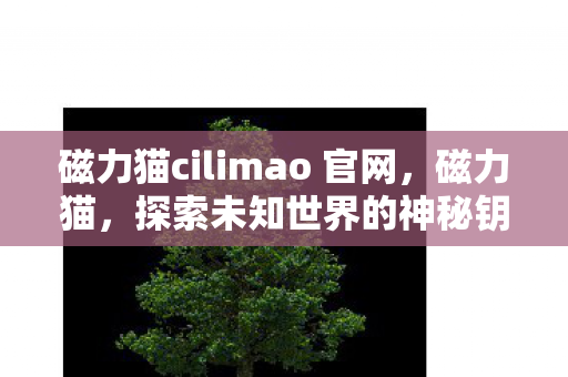 磁力猫cilimao 官网图片