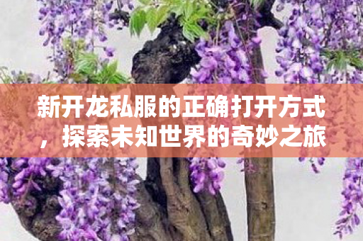 新开龙私服的正确打开方式图片