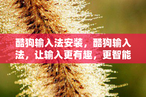 酷狗输入法安装图片