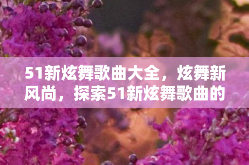 51新炫舞歌曲大全，炫舞新风尚，探索51新炫舞歌曲的魅力