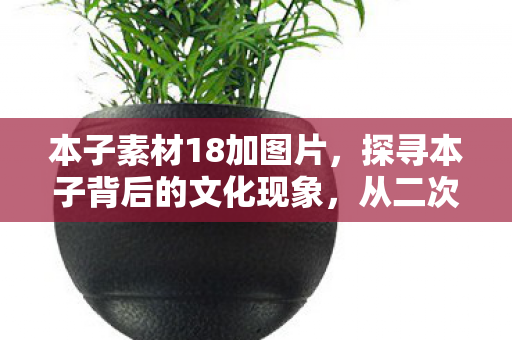 从二次元到同人创作的演变图片