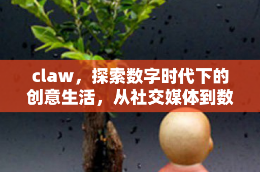 从社交媒体到数字艺术的转变图片