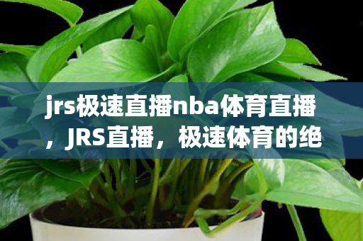 jrs极速直播nba体育直播图片