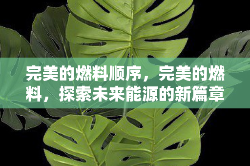 完美的燃料顺序，完美的燃料，探索未来能源的新篇章