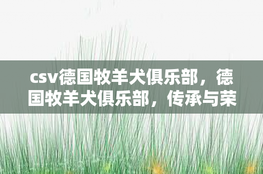 csv德国牧羊犬俱乐部，德国牧羊犬俱乐部，传承与荣耀的见证