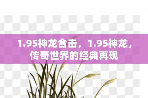 1.95神龙合击，1.95神龙，传奇世界的经典再现