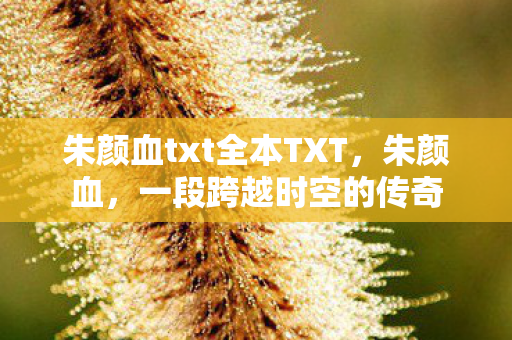 朱颜血txt全本TXT，朱颜血，一段跨越时空的传奇